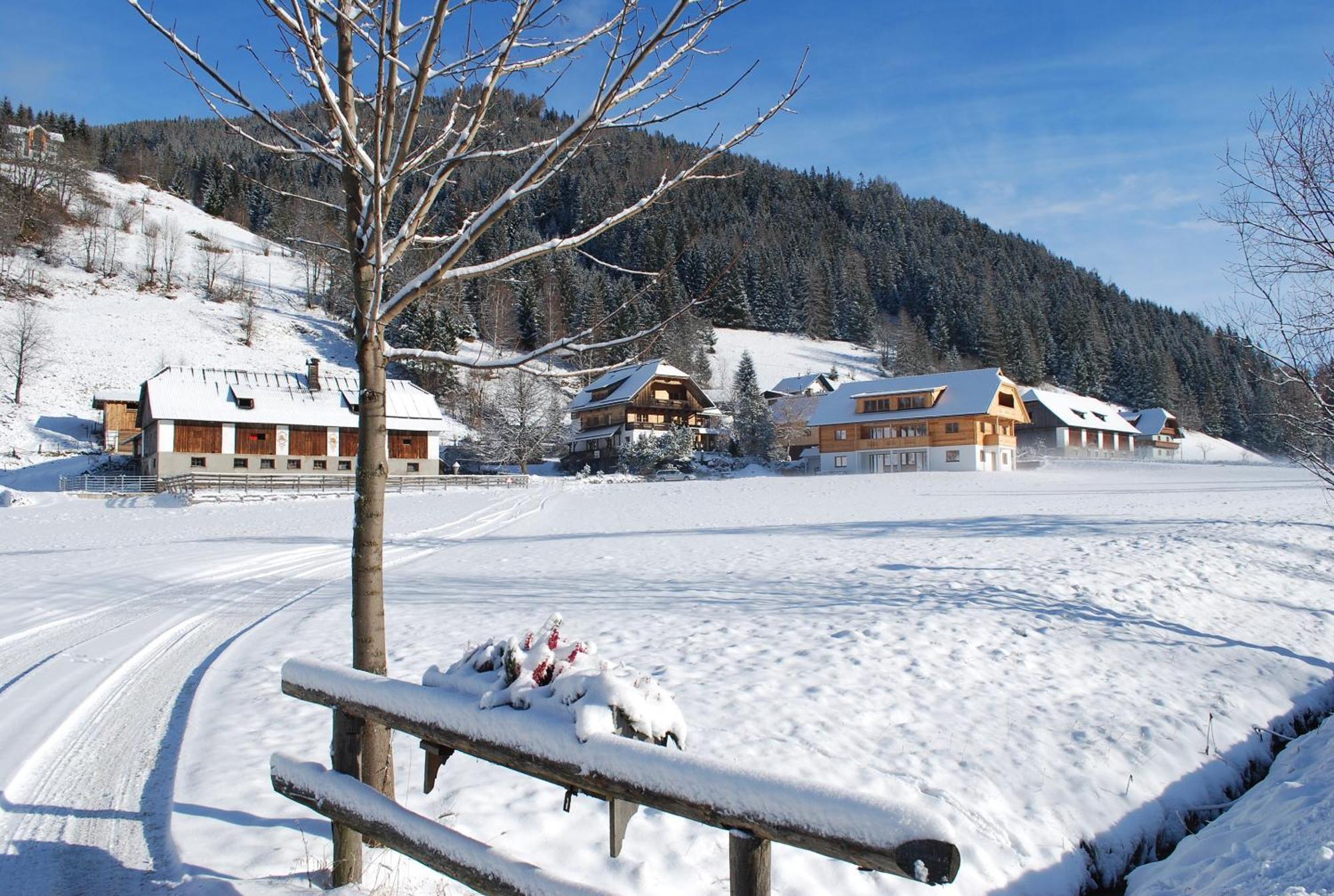 Biohof Seidl Appartement Bad Kleinkirchheim Buitenkant foto