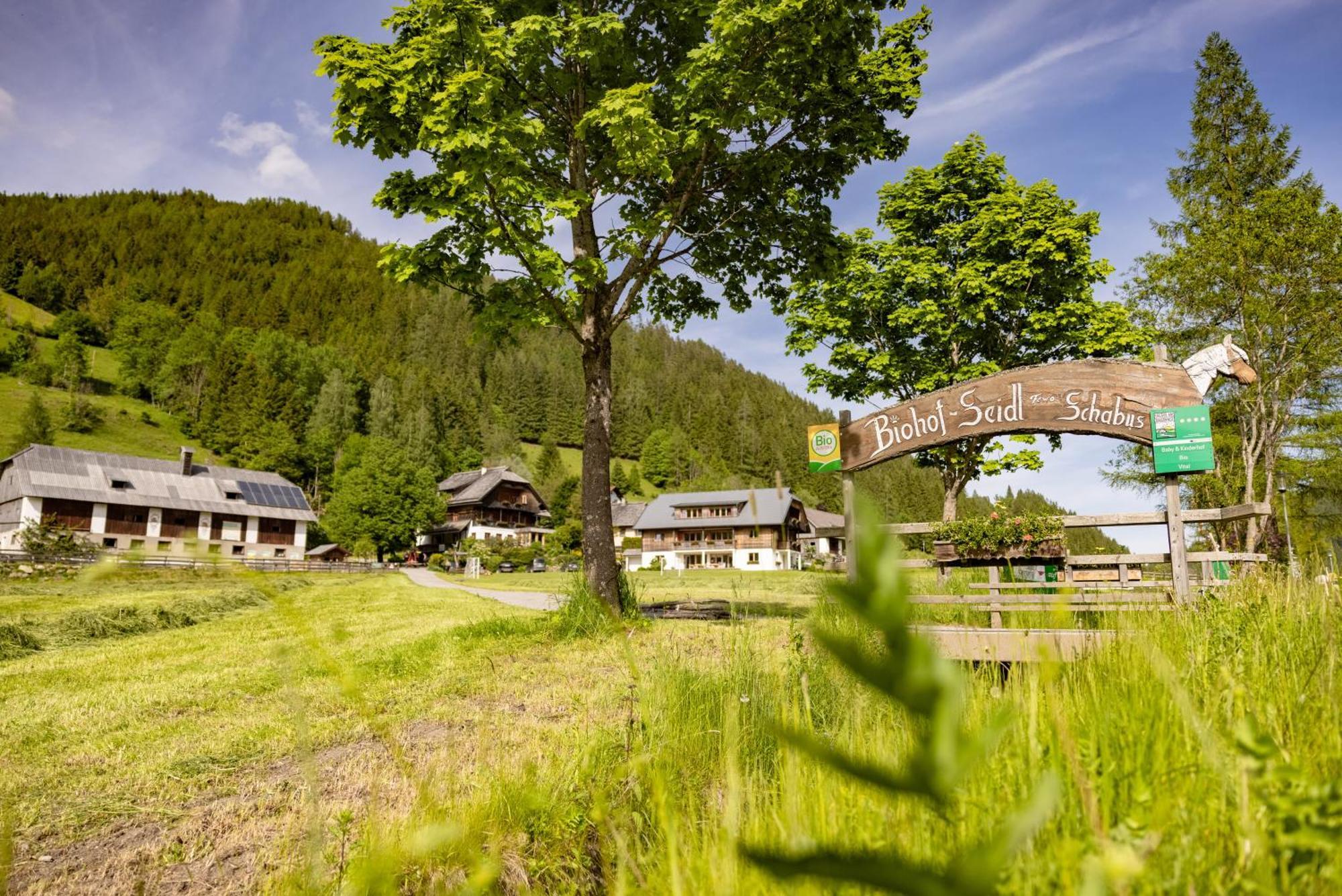 Biohof Seidl Appartement Bad Kleinkirchheim Buitenkant foto