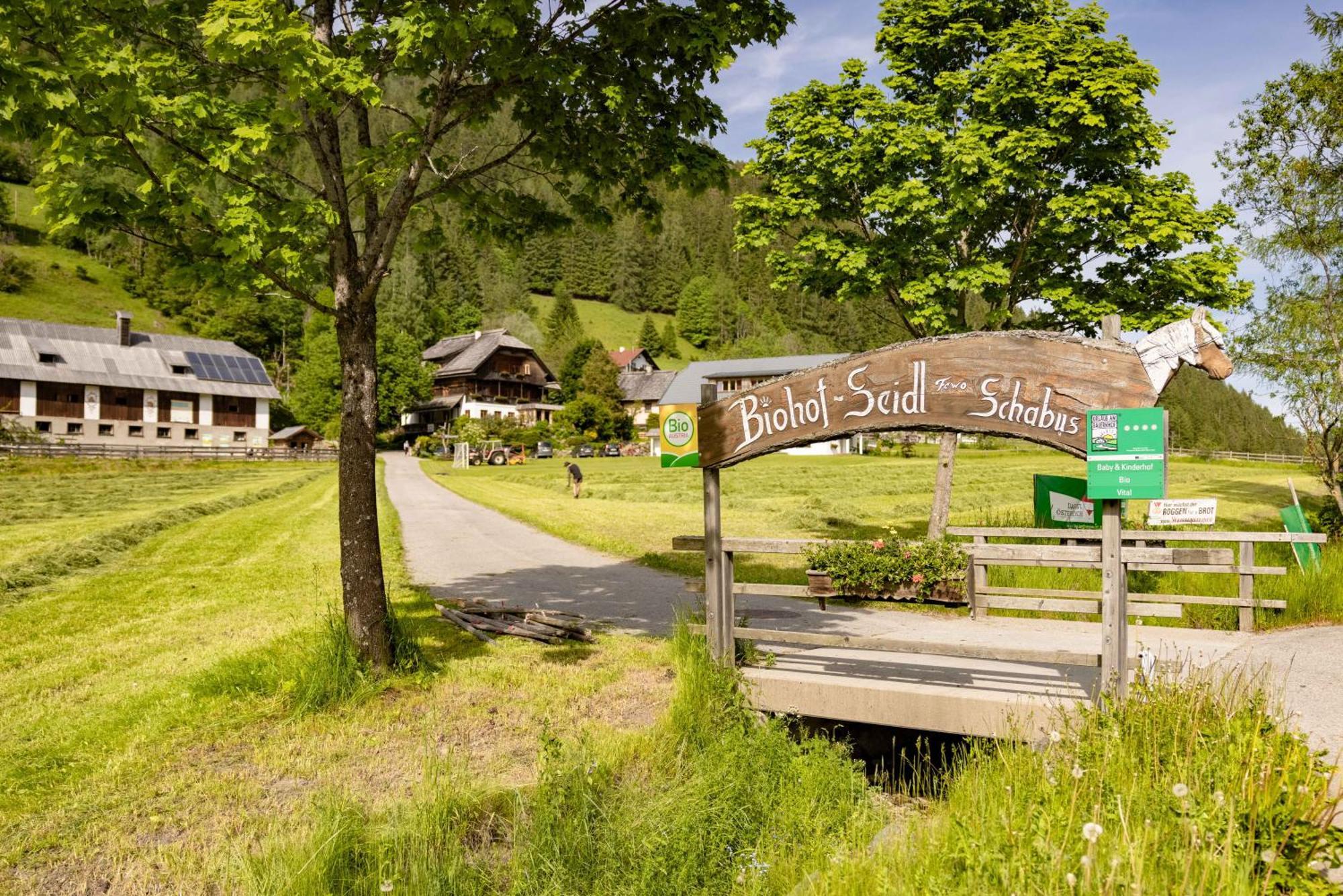 Biohof Seidl Appartement Bad Kleinkirchheim Buitenkant foto