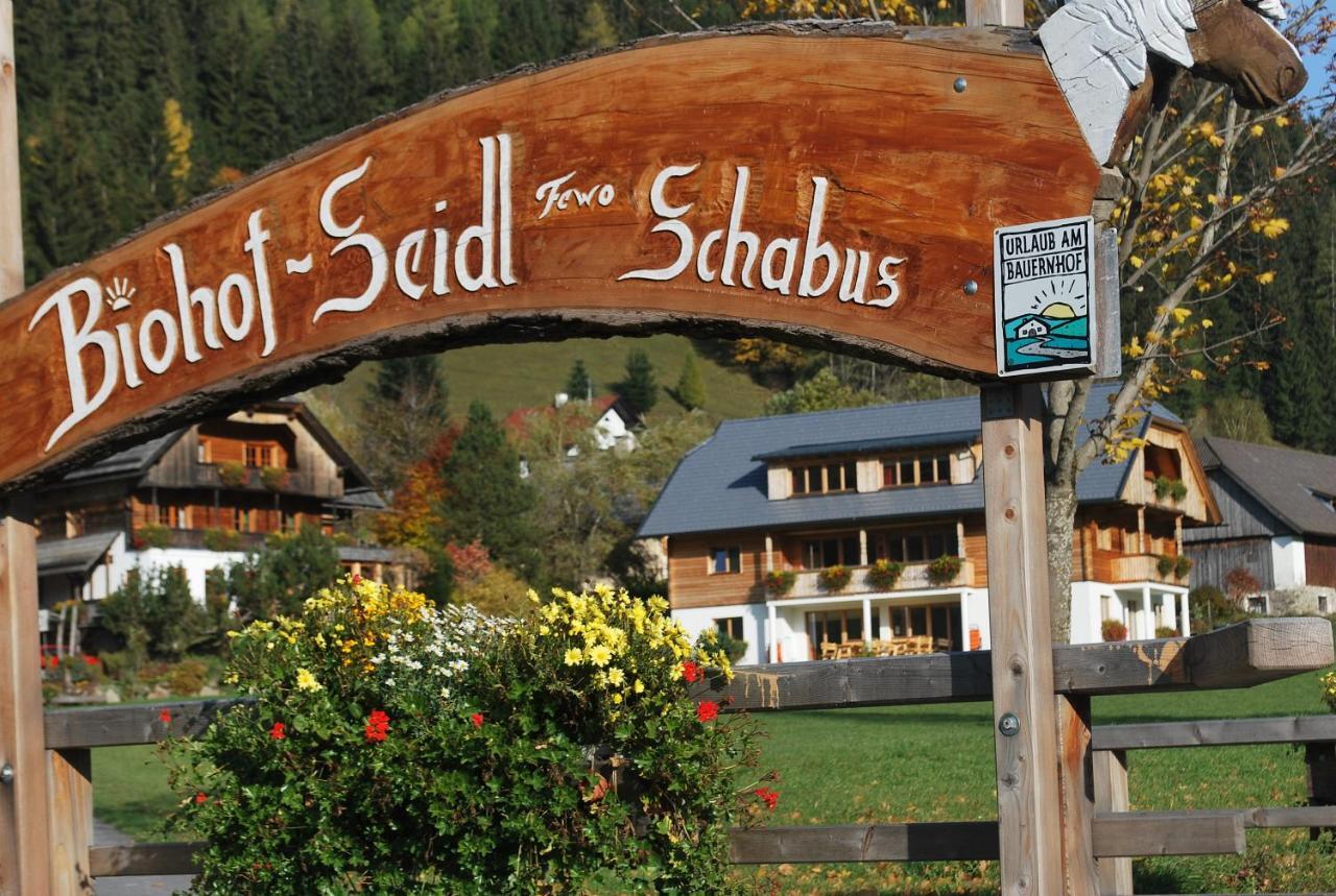 Biohof Seidl Appartement Bad Kleinkirchheim Buitenkant foto